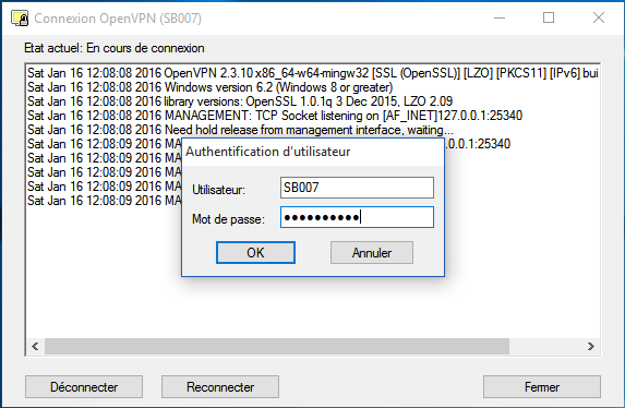 Connexion à OpenVPN